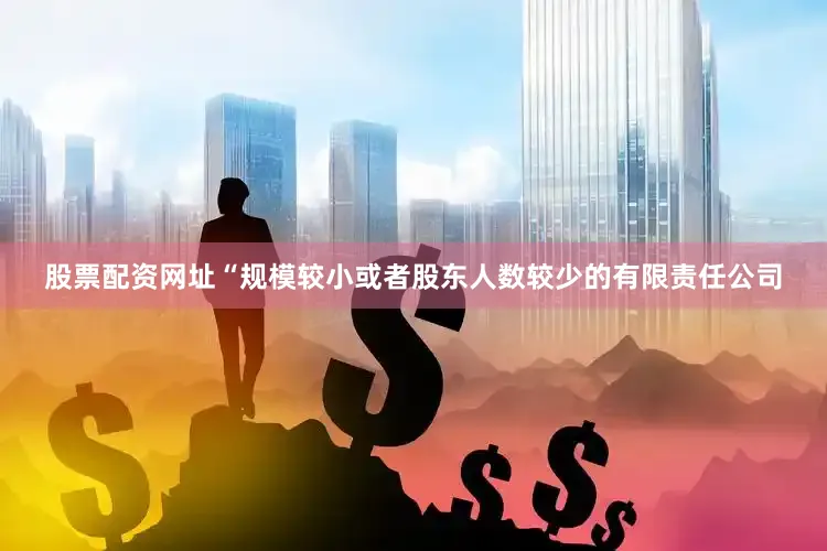 股票配资网址“规模较小或者股东人数较少的有限责任公司