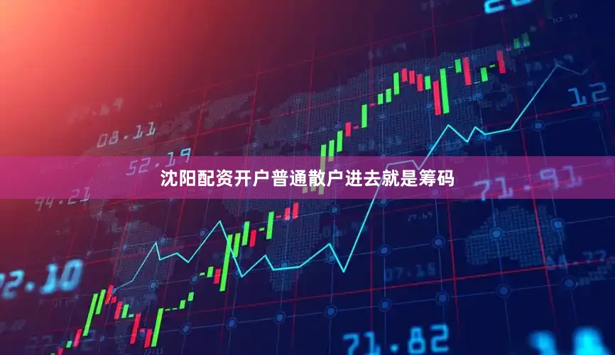 沈阳配资开户普通散户进去就是筹码