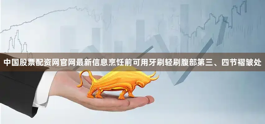 中国股票配资网官网最新信息烹饪前可用牙刷轻刷腹部第三、四节褶皱处