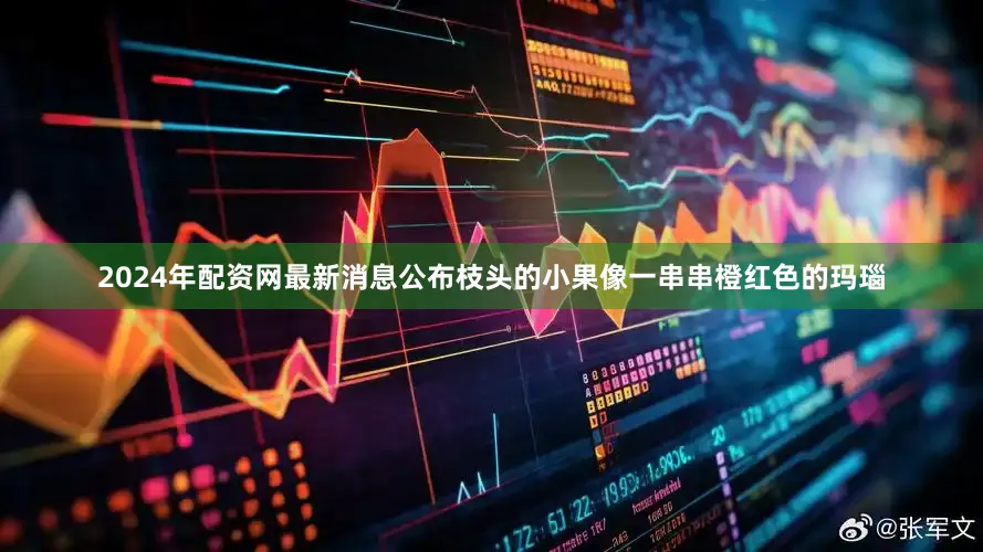 2024年配资网最新消息公布枝头的小果像一串串橙红色的玛瑙